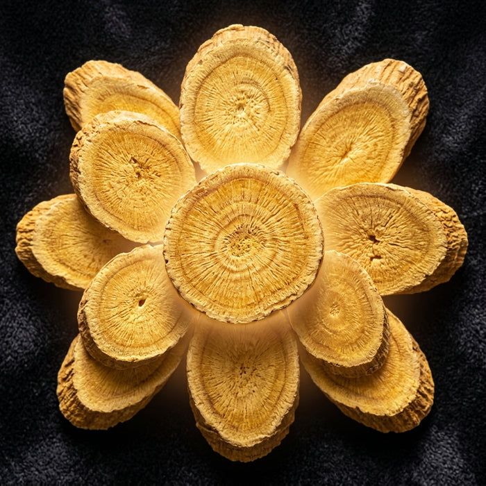 ASTRAGALUS MEMBRANACEUS GYÖKÉRKIVONAT