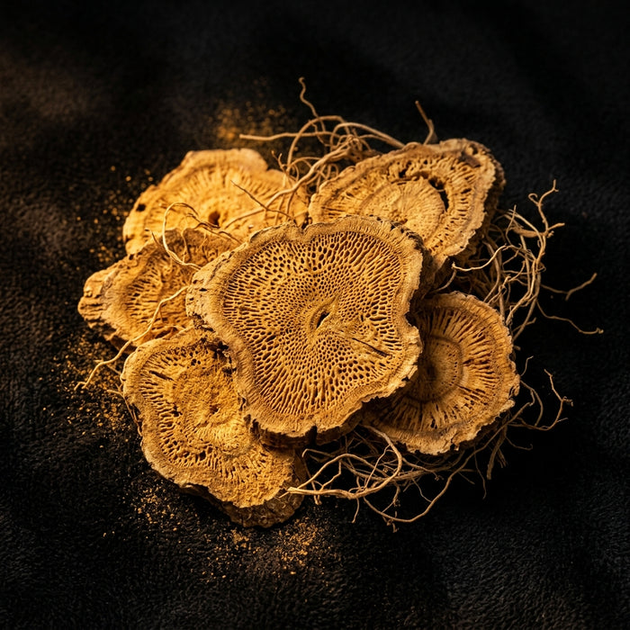 SOPHORA FLAVESCENS GYÖKÉRKIVONAT